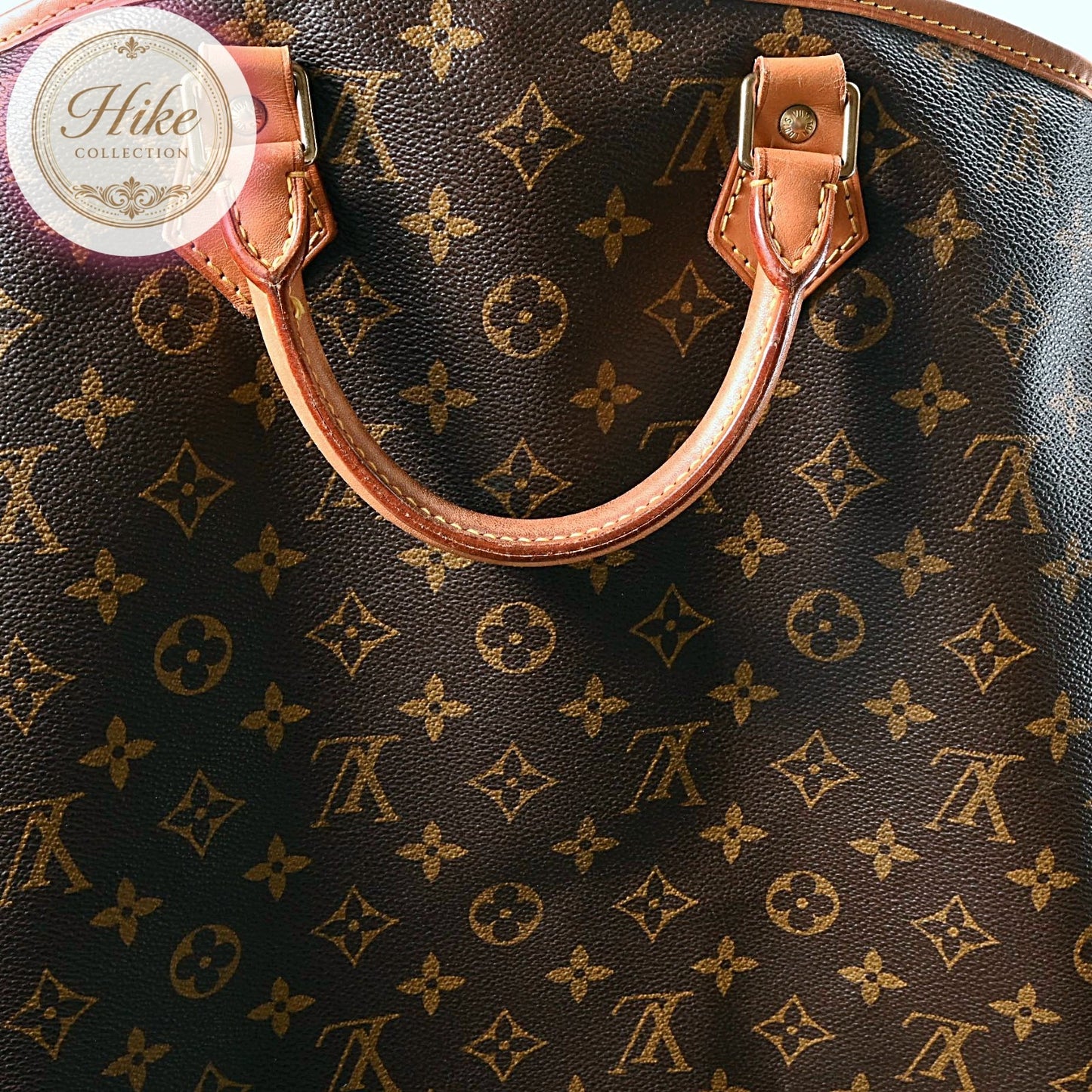 Louis Vuitton Housse Porte Habits Garment Cover Monogram M23434 Auth AB
